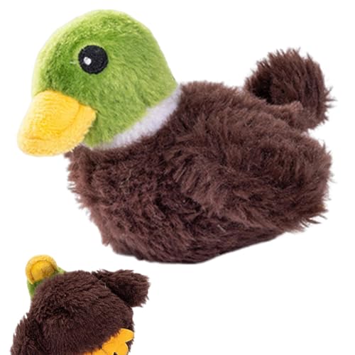Katzenspielzeug, zwitschernder Vogel, Spielzeug für Katzen, fliegender Vogel – Plüschtier für Katzen, interaktives Spielzeug für Indoor-Katzen, Spielzeug für Kätzchen Katzenspielzeug, zwitschernder Vogel, Spielzeug für Katzen, fliegender Vogel – Plüschtier für Katzen, interaktives Spielzeug für Indoor-Katzen, Spielzeug für Kätzchen von Ziennhu