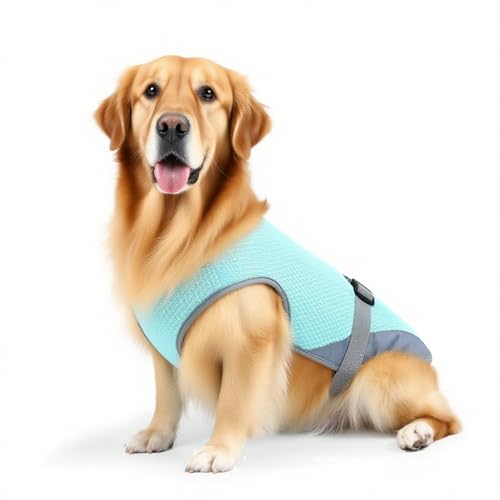 Kühlweste für Hunde | Atmungsaktive Hundekühlung Jacke mit UV -Schutz - Verstellbares Hemd für kleine bis mittlere Hunde, Wandern, Reisen, Gehen im Freien, Camping Kühlweste für Hunde | Atmungsaktive Hundekühlung Jacke mit UV -Schutz - Verstellbares Hemd für kleine bis mittlere Hunde, Wandern, Reisen, Gehen im Freien, Camping von Ziennhu