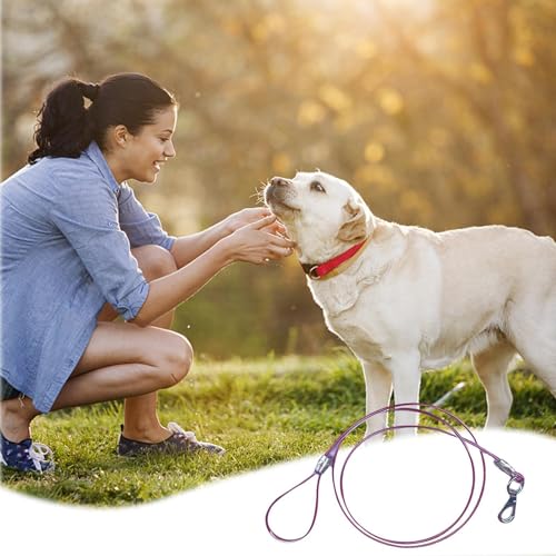 Leine für Hunde – Seil für Hunde aus Metall, Dressurseil für Hunde, hohe Widerstandsfähigkeit, Kauschutz, vielseitiges Hundeseil für den Außenbereich, Rückwärtskabel Leine für Hunde – Seil für Hunde aus Metall, Dressurseil für Hunde, hohe Widerstandsfähigkeit, Kauschutz, vielseitiges Hundeseil für den Außenbereich, Rückwärtskabel von Ziennhu