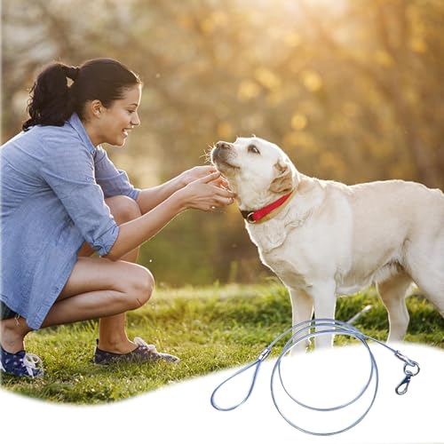 Leine für Hunde – Seil für Hunde aus Metall, Dressurseil für Hunde, hohe Widerstandsfähigkeit, Kauschutz, vielseitiges Hundeseil für den Außenbereich, Rückwärtskabel Leine für Hunde – Seil für Hunde aus Metall, Dressurseil für Hunde, hohe Widerstandsfähigkeit, Kauschutz, vielseitiges Hundeseil für den Außenbereich, Rückwärtskabel von Ziennhu