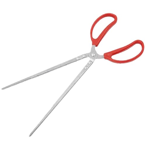 Reptilienfütterung - Edelstahl gerade und gekrümmte Pinzette | 10-Zoll-Anti-Rust-Präzisionstipp-Maiskugel-Zubehör-sicheres Grip-Tool mit Schlittenen für Echsenschlangenfuttermittel von Ziennhu
