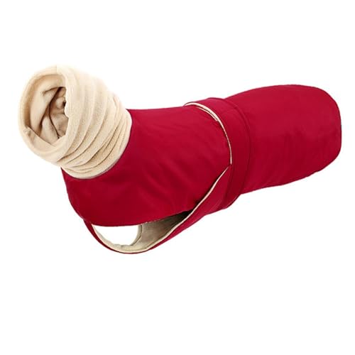 Rollkragenpullover für Hunde, warme Hundejacke | dicker Rollkragenpullover für Haustiere bei kaltem Wetter – wasserdichter Thermopullover für Hunde, Jacke mit Rollkragen für kleine Hunde Rollkragenpullover für Hunde, warme Hundejacke | dicker Rollkragenpullover für Haustiere bei kaltem Wetter – wasserdichter Thermopullover für Hunde, Jacke mit Rollkragen für kleine Hunde von Ziennhu