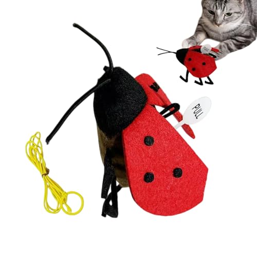 Ziennhu Cat Sound Toy, Katzenneckspielzeug,Schöner Sound Ladybug Catnip Ball | Eingebauter Schwingungssensor Kitten-Teaser für körperliche Aktivitäten hängen Ziennhu Cat Sound Toy, Katzenneckspielzeug,Schöner Sound Ladybug Catnip Ball | Eingebauter Schwingungssensor Kitten-Teaser für körperliche Aktivitäten hängen von Ziennhu