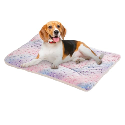 Ziennhu Hundkorb - großer Hundeteppich 70 x 54 cm - Orthopädischer Hundkorb, Hundedämon -Kissen, orthopädisches Hundebett, süßer Schlafsack, Katzenbett Ziennhu Hundkorb - großer Hundeteppich 70 x 54 cm - Orthopädischer Hundkorb, Hundedämon -Kissen, orthopädisches Hundebett, süßer Schlafsack, Katzenbett von Ziennhu