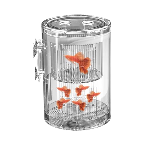 Zuchtbox für Aquarium | Isolierkammer aus transparentem Kunststoff | Aquarienteiler | Multifunktionaler Inkubator für Pommes Frites | Guppy Crevel Betta | Ideal für die Zucht und Zuchtbox für Aquarium | Isolierkammer aus transparentem Kunststoff | Aquarienteiler | Multifunktionaler Inkubator für Pommes Frites | Guppy Crevel Betta | Ideal für die Zucht und von Ziennhu
