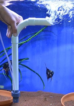 Luftheber 32 mm Durchmesser bis zu 1700 l/h für Aquarien bis 1000 Liter WELTNEUHEIT !! von Zierfischtreff.de