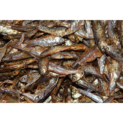 Zierfischtreff.de Getrocknete Fische Hundesnack, Katzensnack, 1 kg von Zierfischtreff.de