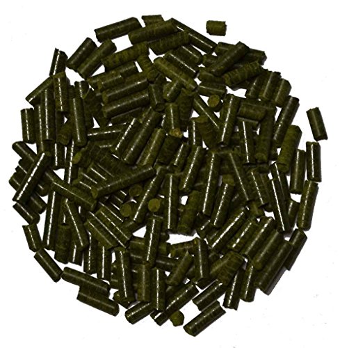 Zierfischtreff Hausmarke Brennnessel-Sticks, 10 g Zierfischtreff Hausmarke Brennnessel-Sticks, 10 g von Zierfischtreff