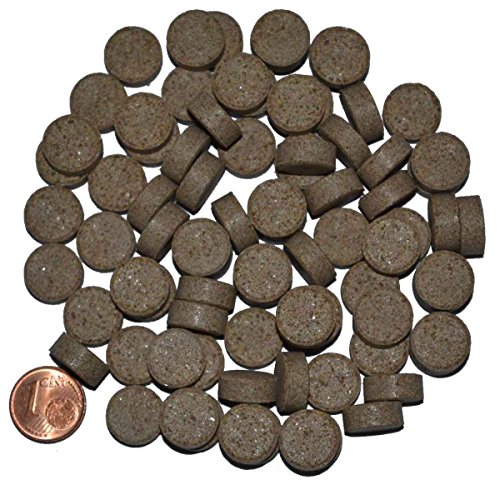 Zierfischtreff Hausmarke Futtertabletten mit Knoblauch, 1 kg Zierfischtreff Hausmarke Futtertabletten mit Knoblauch, 1 kg von Zierfischtreff