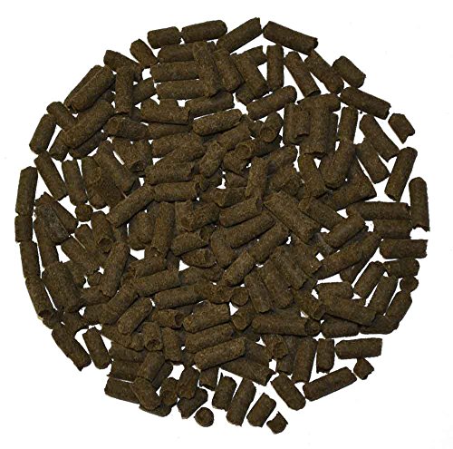Zierfischtreff Hausmarke Spitzwegerich-Sticks, 10 g Zierfischtreff Hausmarke Spitzwegerich-Sticks, 10 g von Zierfischtreff