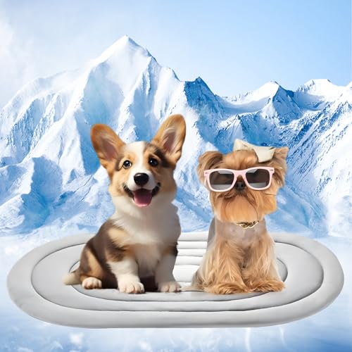 2-in-1-Kühlmatte für Hunde, groß, 100 × 70 cm, strapazierfähige Haustiermatte für Sommer und Winter, ungiftiges Kühlkissen mit auslaufsicherem und kratzfestem Design, Bettmatratze für drinnen und von Zilchx