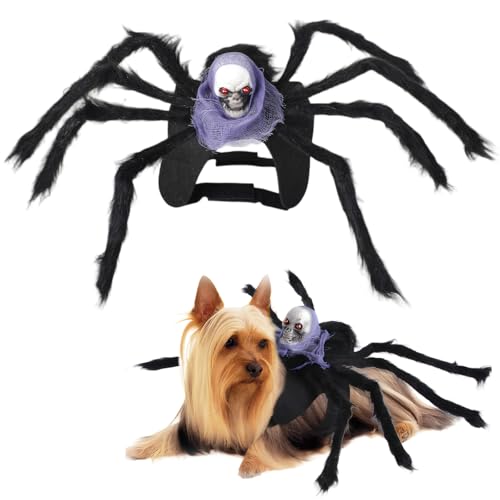 Halloween Spinnen Kostüme für Hunde, Katzen Spinnenkostüm, Halloween Spinnenkostüm für Katze, Lila Totenkopf Katze, Spinnenkostüm für Kleine Mittelgroße Hunde (M) von Zimoer