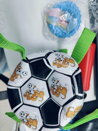Hundespielzeug Ball Set, 1x PVC Hundeball (schwarz-weiß) + 1x Kauspielzeug (blau), Unzerstörbar & Wasserdicht, Ideal für kleine, mittlere & große Hunde, Perfekt für Outdoor, Indoor, Rasen & Schwimmen von Zimoer