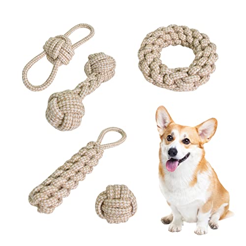 Zimoer Hunde Seil Spielzeug Hundespielzeug Kauen Unzerstörbar Geflochtene Baumwolle Seil 5 Teiliges Set Hund Interaktive Spielzeug für Welpen, Große, Mittlere und Kleine Hunde Zimoer Hunde Seil Spielzeug Hundespielzeug Kauen Unzerstörbar Geflochtene Baumwolle Seil 5 Teiliges Set Hund Interaktive Spielzeug für Welpen, Große, Mittlere und Kleine Hunde von Zimoer