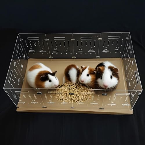 Kleintierhaus für Meerschweinchen, transparent, mit wasserdichtem Papierboden Kleintierhaus für Meerschweinchen, transparent, mit wasserdichtem Papierboden von Zinging life