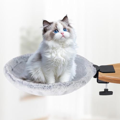 Zinueen Katzenbett für Schreibtisch – 360° drehbare & höhenverstellbare Katzenhängematte mit stabilem Metallrahmen, 2 waschbare Bezüge, Katzenschlafplatz für Büro & Homeoffice, Ganzjahresnutzung Zinueen Katzenbett für Schreibtisch – 360° drehbare & höhenverstellbare Katzenhängematte mit stabilem Metallrahmen, 2 waschbare Bezüge, Katzenschlafplatz für Büro & Homeoffice, Ganzjahresnutzung von Zinueen