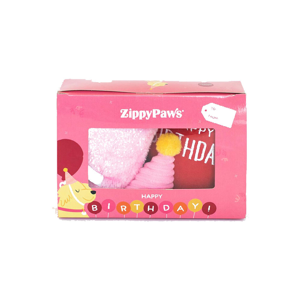 ZippyPaws - Pup Birthday Box - Pink von Zippypaws