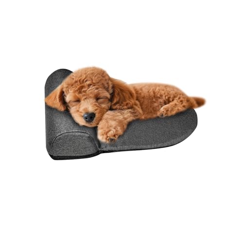 Ziqody Hundekissen für mittelgroße Hunde, Nackenkissen für Kopfstütze, waschbares Hundekissen, gut für Halswirbel, tragbares Hundebett, Kissen zur Gelenkentlastung, Schlafverbesserung Ziqody Hundekissen für mittelgroße Hunde, Nackenkissen für Kopfstütze, waschbares Hundekissen, gut für Halswirbel, tragbares Hundebett, Kissen zur Gelenkentlastung, Schlafverbesserung von Ziqody