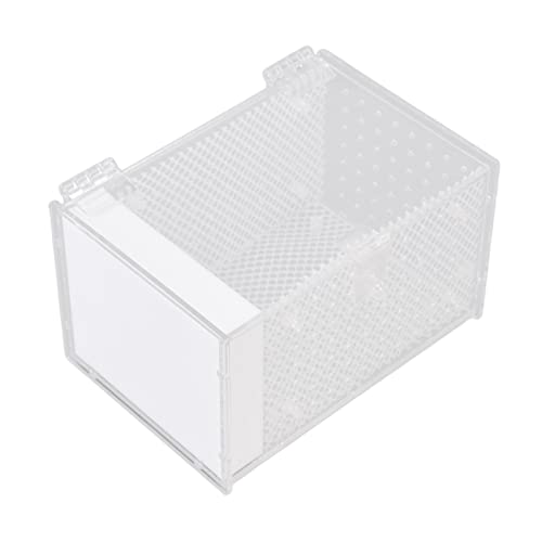 Bateful Gebetszuchtkasten Acryl Futterkäfig Landschaftsgebäude mit Futterloch von Zisemeil