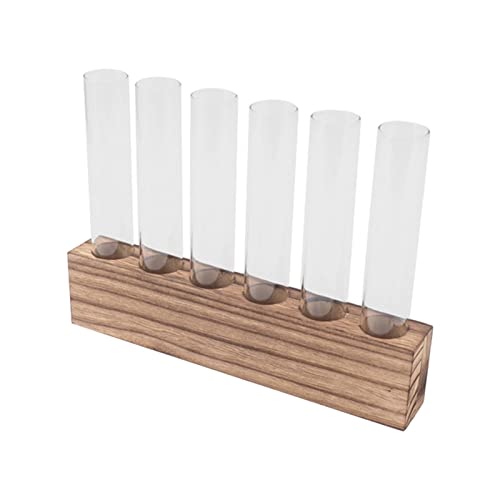 Glaspflanzen-Anzuchtstation Pflanzenzuchtröhrchen Desktop Pflanzenterrarium mit Holzständer Mini Reagenzglas Heimdekoration (6 Röhrchen) von Zisemeil