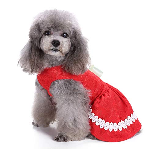 Linda Sommerkleidung für Haustiere, Rockkleider ohne Polyester-Ärmel für Mädchen und Hunde, mit Rücken auf der Rückseite (XZD226 Rot, XS) von Zisemeil