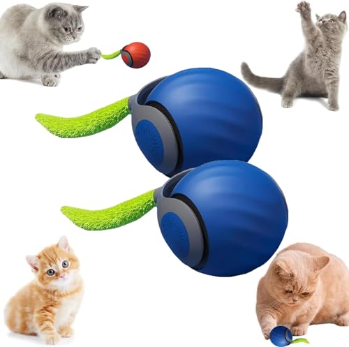 Ziswin Katzenspielzeug Elektrisch, Interaktives Katzenspielzeug,360° Rolling Smart Ball, Katzenball, Elektrisches Automatisches Rollender Ball (Blau-2PCS) von Ziswin