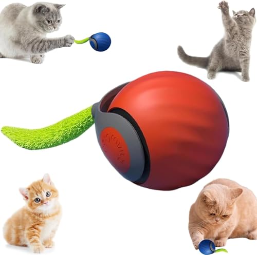 Ziswin Katzenspielzeug Elektrisch, Interaktives Katzenspielzeug,360° Rolling Smart Ball, Katzenball, Elektrisches Automatisches Rollender Ball (Orange) von Ziswin