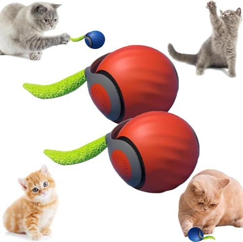 Ziswin Katzenspielzeug Elektrisch, Interaktives Katzenspielzeug,360° Rolling Smart Ball, Katzenball, Elektrisches Automatisches Rollender Ball (Orange-2PCS) von Ziswin