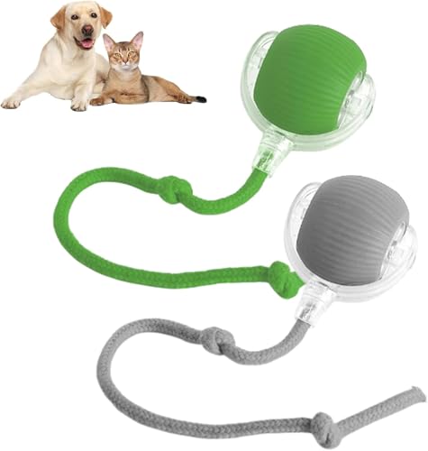 Ziswin KatzenspielzeugInteraktives Cat Ball Spielzeug Automatisches, 360° intelligentes automatisches rollendes Ballspielzeug Motorisierte Hundebälle für Hunde-cat Toy. Ziswin KatzenspielzeugInteraktives Cat Ball Spielzeug Automatisches, 360° intelligentes automatisches rollendes Ballspielzeug Motorisierte Hundebälle für Hunde-cat Toy. von Ziswin