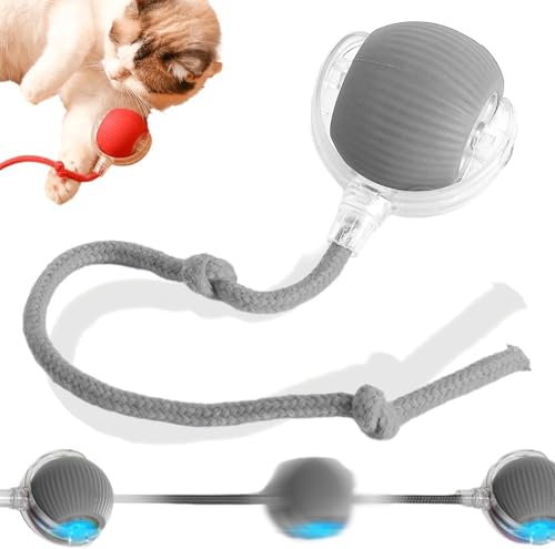 Ziswin KatzenspielzeugInteraktives Cat Ball Spielzeug Automatisches, 360° intelligentes automatisches rollendes Ballspielzeug Motorisierte Hundebälle für Hunde-cat Toy. Ziswin KatzenspielzeugInteraktives Cat Ball Spielzeug Automatisches, 360° intelligentes automatisches rollendes Ballspielzeug Motorisierte Hundebälle für Hunde-cat Toy. von Ziswin