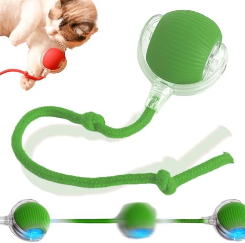 Ziswin KatzenspielzeugInteraktives Cat Ball Spielzeug Automatisches, 360° intelligentes automatisches rollendes Ballspielzeug Motorisierte Hundebälle für Hunde-cat Toy. Ziswin KatzenspielzeugInteraktives Cat Ball Spielzeug Automatisches, 360° intelligentes automatisches rollendes Ballspielzeug Motorisierte Hundebälle für Hunde-cat Toy. von Ziswin