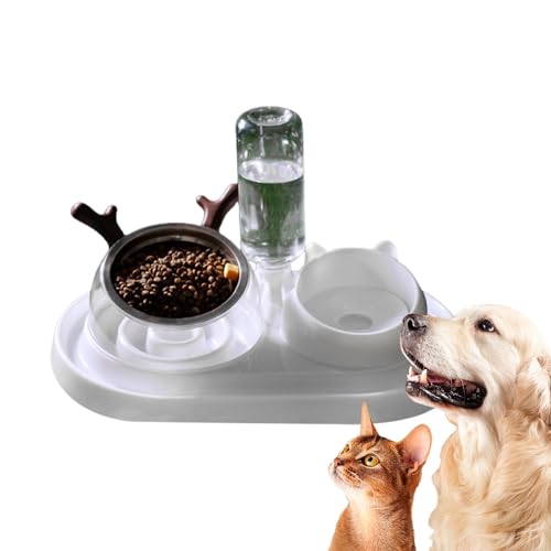 Doppelte Katzennäpfe, um 15° geneigter Doppel-Esstisch für Haustiere, Wasser- und Futternapf-Set, Katzen-Futternäpfe, Mehrzweck-Haustiernäpfe für Katzen, Kätzchen, Welpen, gebogene Schüsseln für Kätzc von Ziurmut