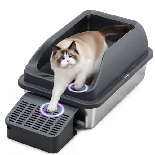 Zivacate Katzenklo aus Edelstahl (XXL, 60×40cm Groß) – Katzentoilette mit geneigter Einstiegrampe, hohen Seitenwänden, Streuschaufel, Pedal, geruchsresistent & leicht zu reinigen, Grau von Zivacate