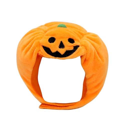 Tierfreundliche Kürbismütze, Teddys, Welpen, Katzen, Hut, Outfit, Festival, Kürbis-Hut für Halloween-Feier und Fotos Tierfreundliche Kürbismütze, Teddys, Welpen, Katzen, Hut, Outfit, Festival, Kürbis-Hut für Halloween-Feier und Fotos von Zktfyshk