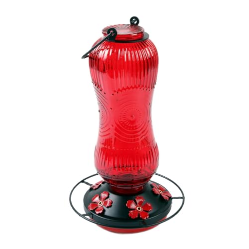 Zkydhbd 26floz Glass Hummingbird Wasserspender Breites Mund Design Mit Sicherem Haken Für Vogelfutter Freien Und Einfache Beobachtung Großer Kapazität Vogelwasserspender Zkydhbd 26floz Glass Hummingbird Wasserspender Breites Mund Design Mit Sicherem Haken Für Vogelfutter Freien Und Einfache Beobachtung Großer Kapazität Vogelwasserspender von Zkydhbd