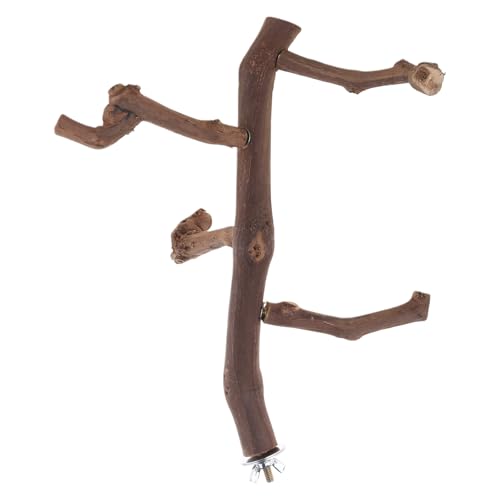 Bird Barch Natural Wood Papageien Stand Rod Training Spielzeug Für Mehrere Vögel Zum Spielen Zusammen Käfigkäsespielzeug Geeignet von Zkydhbd