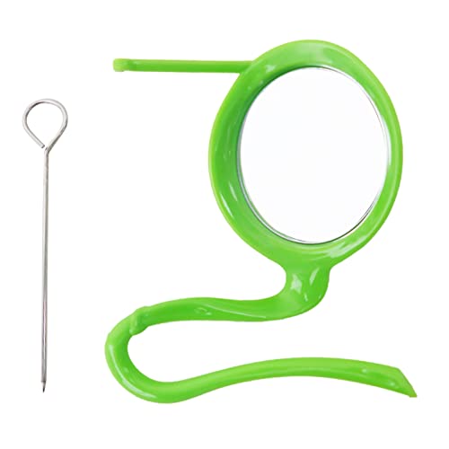 Vogel Spiegel Ständer Spielzeug Hängen Papagei Feeder Metall Spieß Obst Gemüse Für Nymphensittiche Conures Käfig Zubehör Vogel Spiegel Ständer Spielzeug Hängen Papagei Feeder Metall Spieß Obst Gemüse Für Nymphensittiche Conures Käfig Zubehör von Zkydhbd
