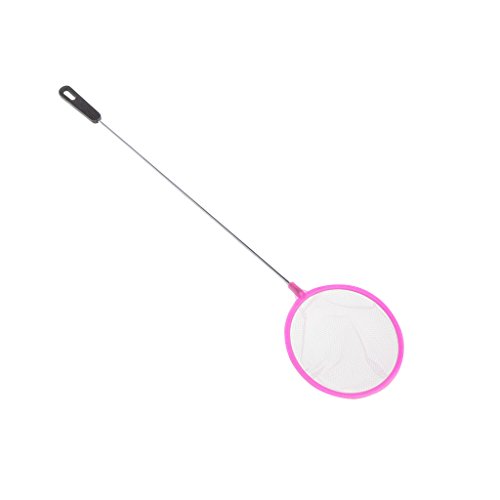 Zkydhbd Aquariumfischereinetz 3 4 4 5 Zoll Durchmesser Feines Netz Kleines Fang Für Netze Mit Plastikgriff Für Tropische Fische Zkydhbd Aquariumfischereinetz 3 4 4 5 Zoll Durchmesser Feines Netz Kleines Fang Für Netze Mit Plastikgriff Für Tropische Fische von Zkydhbd