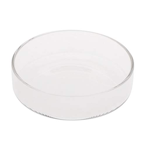 Zkydhbd Garnelen Feeder Glas Futternapf Aquarium Fische Für Reptilien Runde Klare Futternapf 3 9" 3 5" 3 2" 3 0" 2 6" 2 4" Tra Zkydhbd Garnelen Feeder Glas Futternapf Aquarium Fische Für Reptilien Runde Klare Futternapf 3 9" 3 5" 3 2" 3 0" 2 6" 2 4" Tra von Zkydhbd