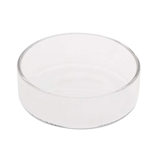Zkydhbd Garnelen Feeder Glas Futternapf Aquarium Fische Für Reptilien Runde Klare Futternapf 3 9" 3 5" 3 2" 3 0" 2 6" 2 4" Tra Zkydhbd Garnelen Feeder Glas Futternapf Aquarium Fische Für Reptilien Runde Klare Futternapf 3 9" 3 5" 3 2" 3 0" 2 6" 2 4" Tra von Zkydhbd