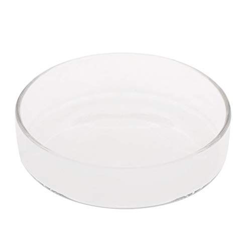 Zkydhbd Garnelen Feeder Glas Futternapf Aquarium Fische Für Reptilien Runde Klare Futternapf 3 9" 3 5" 3 2" 3 0" 2 6" 2 4" Tra Zkydhbd Garnelen Feeder Glas Futternapf Aquarium Fische Für Reptilien Runde Klare Futternapf 3 9" 3 5" 3 2" 3 0" 2 6" 2 4" Tra von Zkydhbd