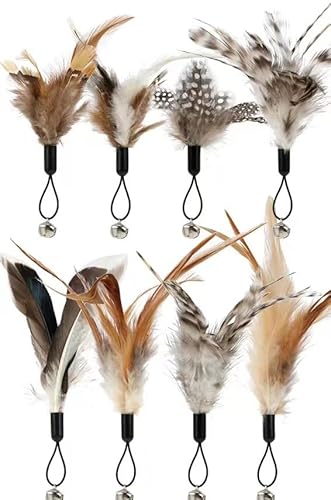 Zliger 8-Teiliges Federschlagzeug-Set für Katzen, Chemikalienfreies Interaktives Federspielzeug für Katzen, Nachfüllpackung für Federspielzeug, Ersatzfedern für Bewegung und Interaktives Spielen Zliger 8-Teiliges Federschlagzeug-Set für Katzen, Chemikalienfreies Interaktives Federspielzeug für Katzen, Nachfüllpackung für Federspielzeug, Ersatzfedern für Bewegung und Interaktives Spielen von Zliger