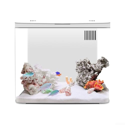 Zoegneer Desktop Aquarium für kleine Kampffische mit eingebautem LED-Licht, leise Pumpe, mehrstufiges Filtersystem (weiß) von Zoegneer