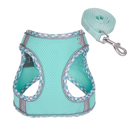Katzengeschirr Hundegeschirr Kleine Hunde mit Leine, Reflektierend No-Pull Hunde Geschirr mit Leine, Weich Hunde Brustgeschirr für Welpen Kleine Hunde-Air Green, XS von Zoenif