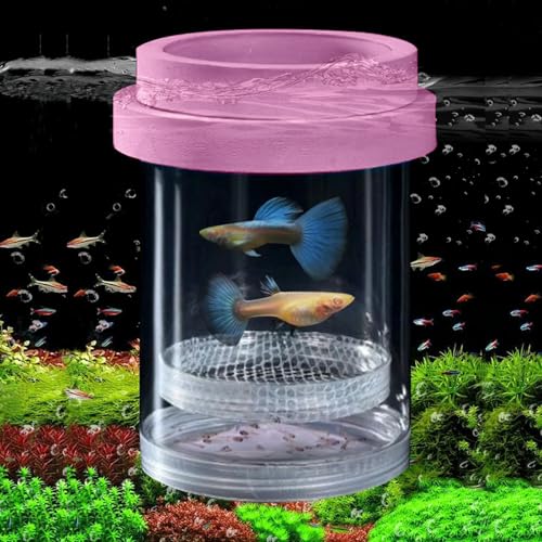 Züchterbox für Aquarien, Kunststoff-Aquarium-Zuchtkammer, schwimmende Netzisolierung, Brutstätte für kleine Fische, Betta-Garnelen, Clownfische, Guppy – verstellbare Aquarium-Trennwand (Rosa, groß) Züchterbox für Aquarien, Kunststoff-Aquarium-Zuchtkammer, schwimmende Netzisolierung, Brutstätte für kleine Fische, Betta-Garnelen, Clownfische, Guppy – verstellbare Aquarium-Trennwand (Rosa, groß) von Zoewan