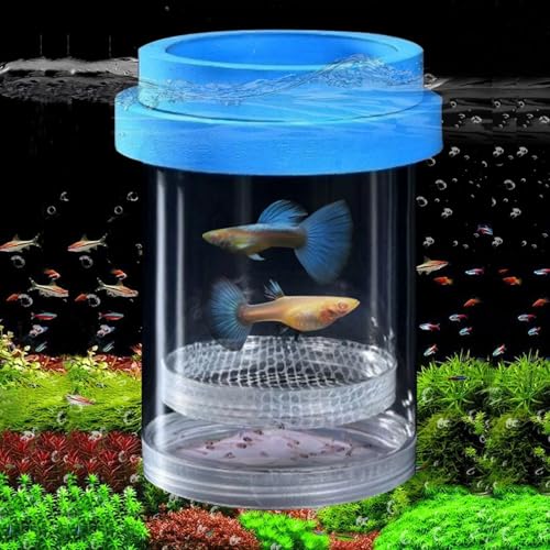 Züchterbox für Aquarien, Kunststoff-Aquarium-Zuchtkammer, schwimmende Netzisolierung, Brutstätte für kleine Fische, Betta-Garnelen, Clownfische, Guppy – verstellbare Aquarium-Trennwand (blau, mittel) Züchterbox für Aquarien, Kunststoff-Aquarium-Zuchtkammer, schwimmende Netzisolierung, Brutstätte für kleine Fische, Betta-Garnelen, Clownfische, Guppy – verstellbare Aquarium-Trennwand (blau, mittel) von Zoewan