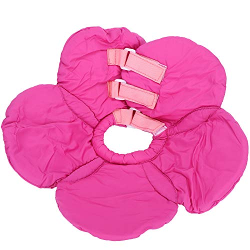 Verstellbarer Kegel für Hunde und Katzen, Erholungshalsband für Katzen, weicher elisabethanischer Schutzkegel, Schutzhalsband gegen Lecken bei Katzen- und Welpenoperationen, Pink, (Zoeyilantf6TJ-12) von Zoeyilan
