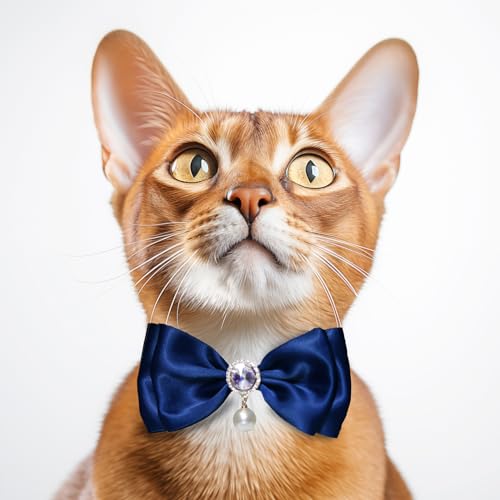 Zology Halsband für Haustiere, verstellbare Fliege für Hunde und Katzen, Perlen, Strass, für Mädchen und Jungen, für Urlaub, Weihnachten, Hochzeit, Party, Geschenk, Zubehör, bequem, niedlich, Welpen, Zology Halsband für Haustiere, verstellbare Fliege für Hunde und Katzen, Perlen, Strass, für Mädchen und Jungen, für Urlaub, Weihnachten, Hochzeit, Party, Geschenk, Zubehör, bequem, niedlich, Welpen, von Zology