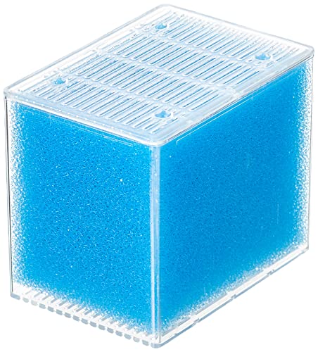 Aquatlantis 03171 EasyBox Filterschwamm fein für Biobox 2, L von Zolux