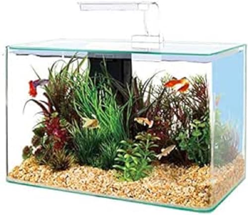 Zolux Aquarium Aqua Clear 40 20 L weiß von Zolux